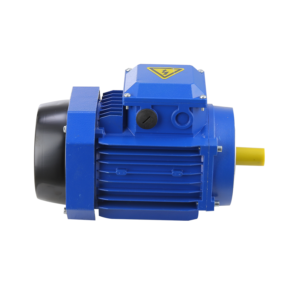 IE2 IE3 Efficiency MS Series Aluminium Housing Three-Phase Asynchronous Motor