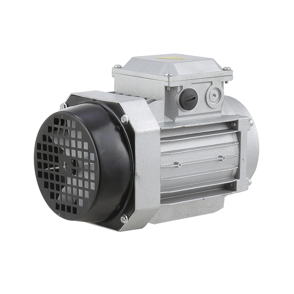 IE2 IE3 Efficiency MS Series Aluminium Housing Three-Phase Asynchronous Motor