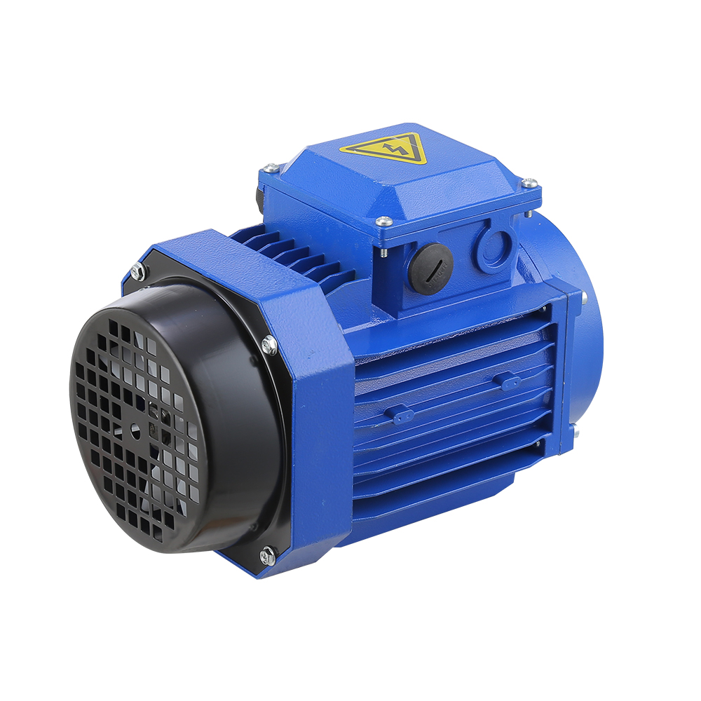 IE2 IE3 Efficiency MS Series Aluminium Housing Three-Phase Asynchronous Motor