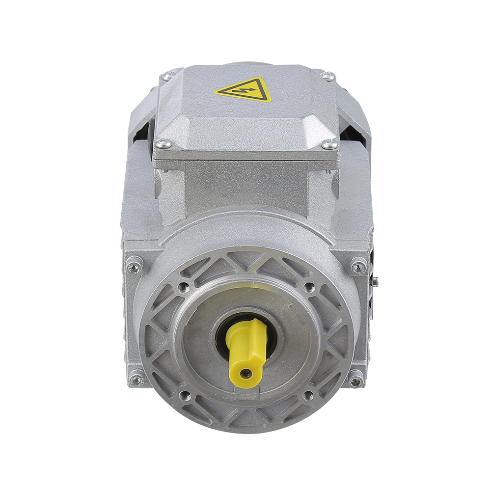Customizable10kw 5.5hp Ms Series Three Phase Aluminum Electric Motor Asynchronous Motor