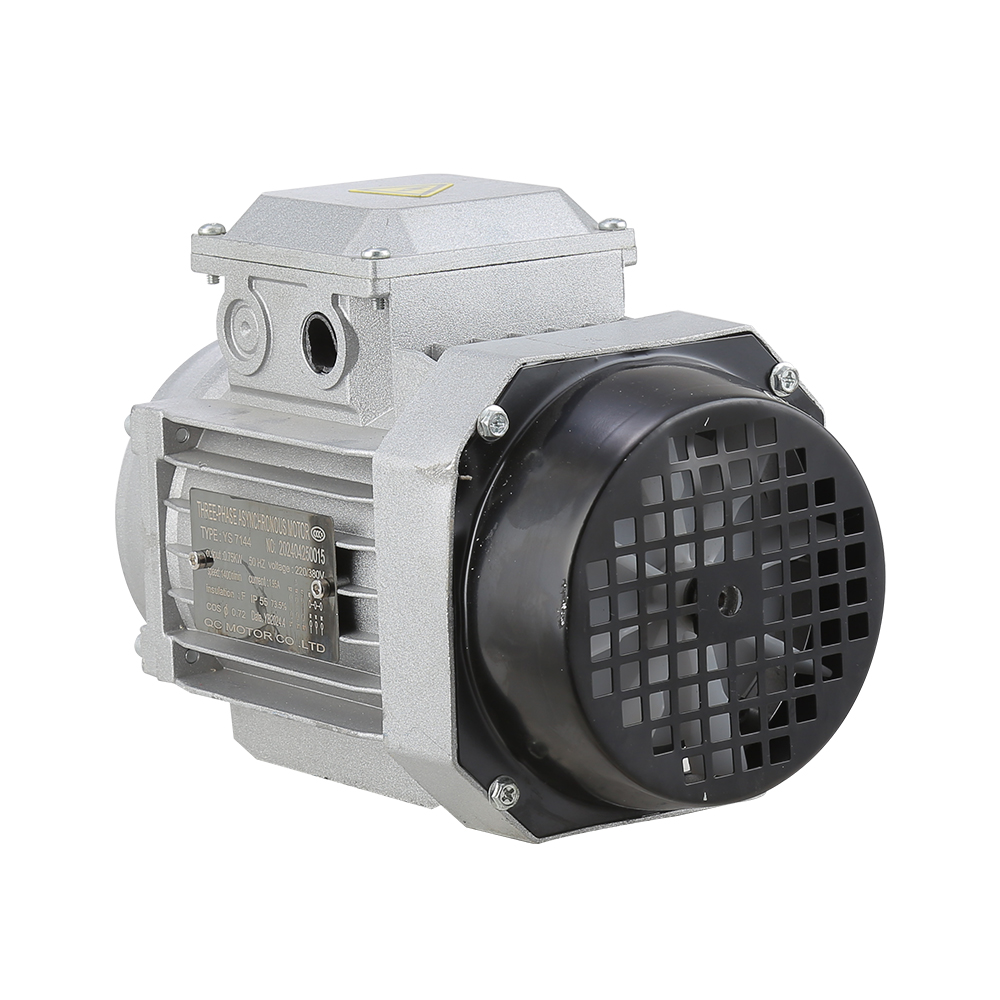 Ms Series Electric Motor Three-Phase Asynchronous Motor Squirrel Cage Motor